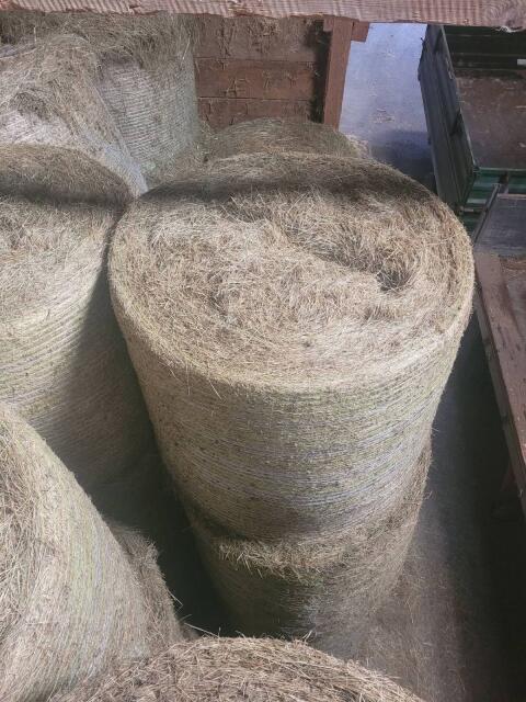 Verkaufe Heuballen 1,30 m