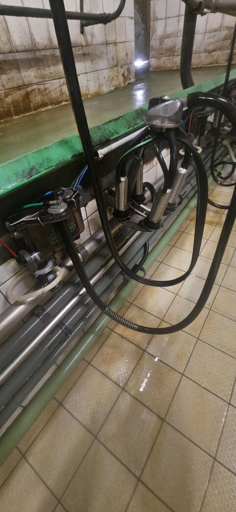Westfalia FG Melkstand