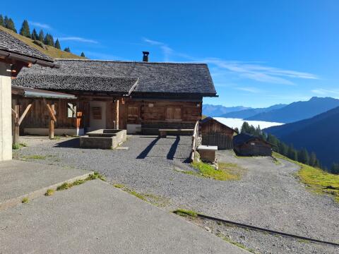 Alpe Latschätz im Montafon sucht Kühe und Rinder für Sommer
