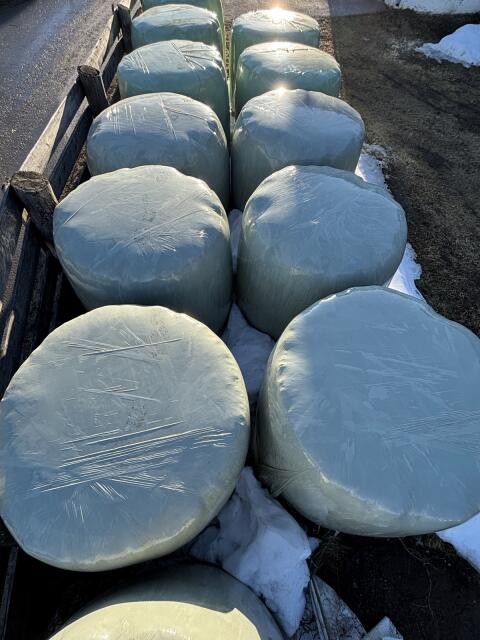 Verkaufe Siloballen 1. bis 3. Schnitt