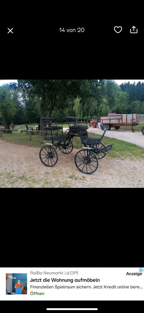Kutsche Buggy
