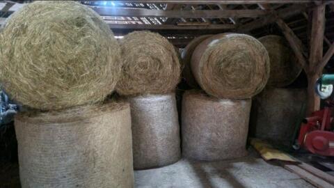 Heurundballen 1. Schnitt