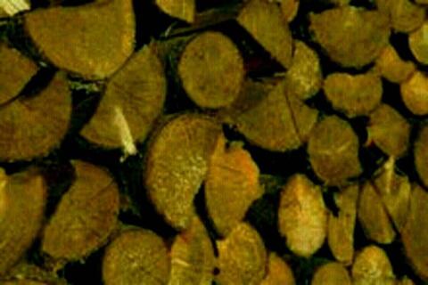 Brennholz weich