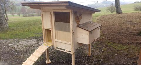 Hühnerstall 5