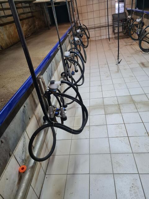 Melkstand Boumatic