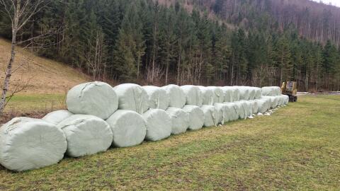 Bio Grassilage Ballen