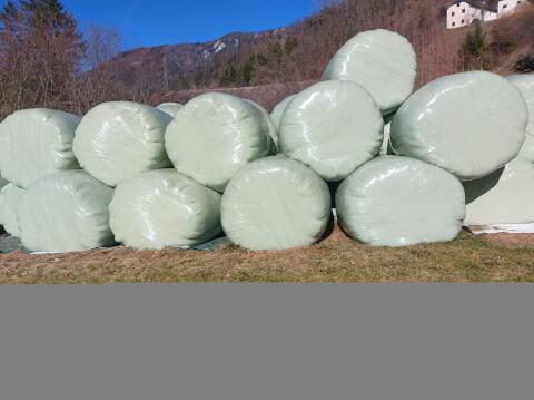 Bio Siloballen 2025