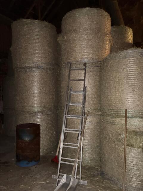 Heuballen