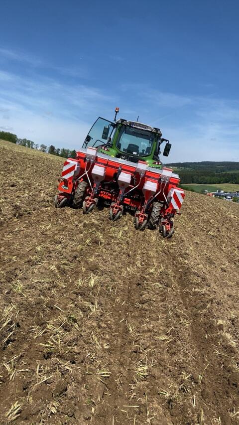 Biete Maisbau mit 5-reihiger Setzmaschine