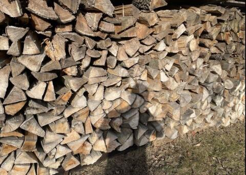 Brennholz Buche 25 cm oder 33 cm