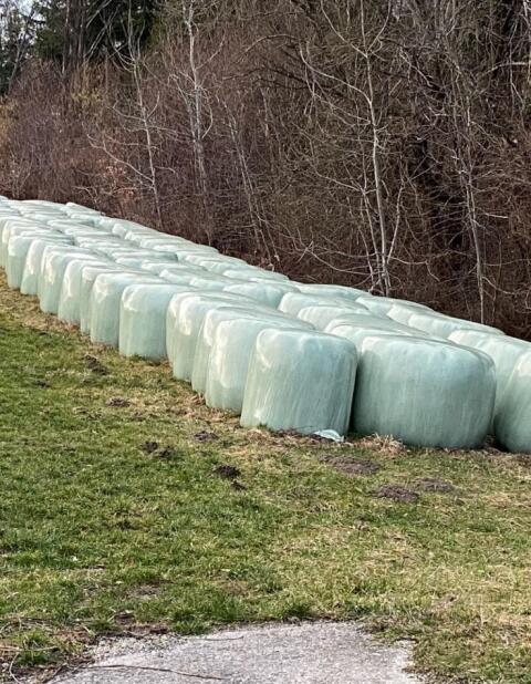 Bio-Silage Rundballen