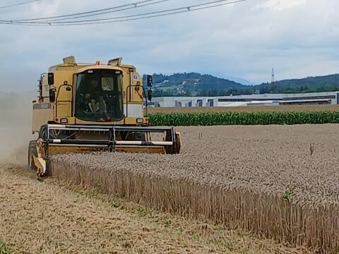 New Holland TX 62