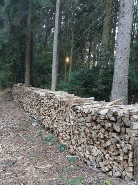 Brennholz