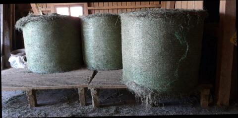 Ohmad, Öhmd, Grummet Rundballen in 88171 Weiler-Simmerberg