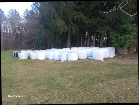 Bio-Grassilageballen