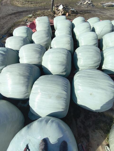Silageballen
