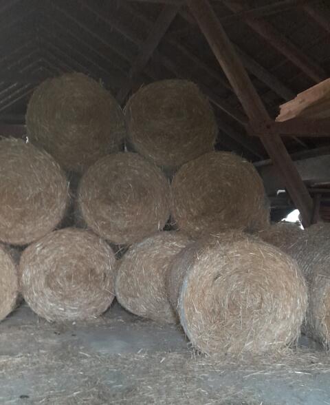 Strohrundballen