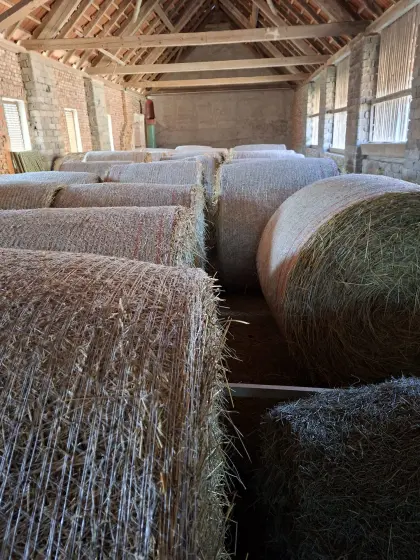 Heu Rundballen