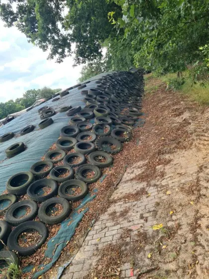Maissilage zu verkaufen