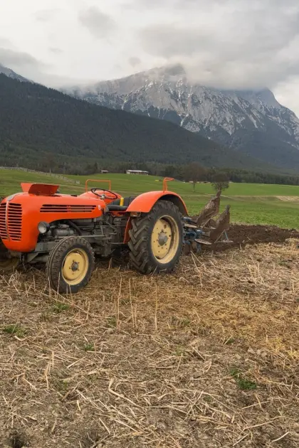 Pflug Vogel und Noot