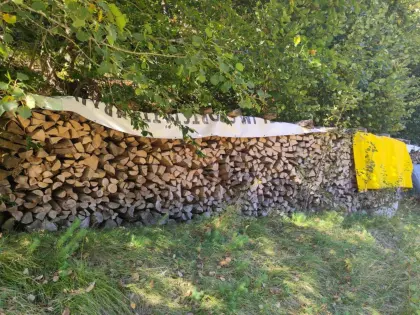 Brennholz Buche, luftgetrocknet und gespalten