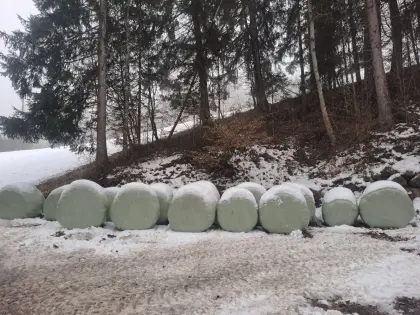 BIO Siloballen 2. Schnitt 2025