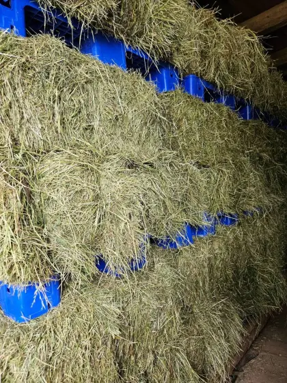 Heuballen Kleinballen Belüftungsheu