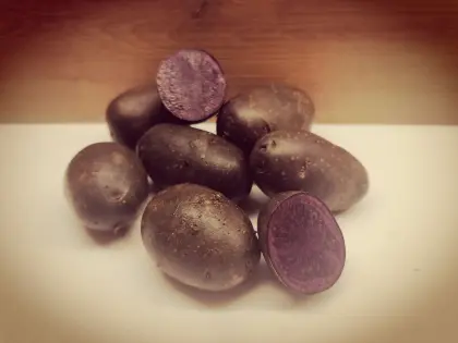 Bio Erdäpfel Violetta