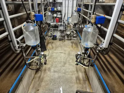 Delaval Melkstand 2x2 Tandem