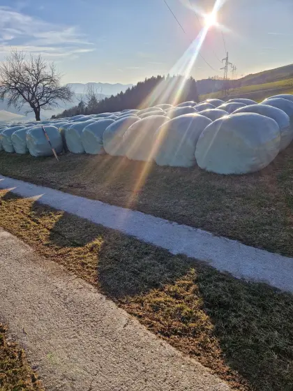 Siloballen