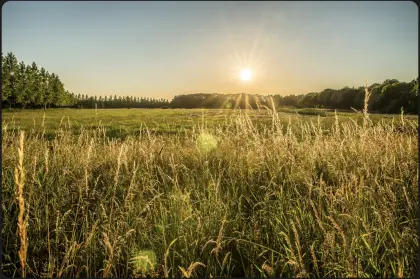 Suche Ackerfläche nahe Klagenfurt zu kaufen