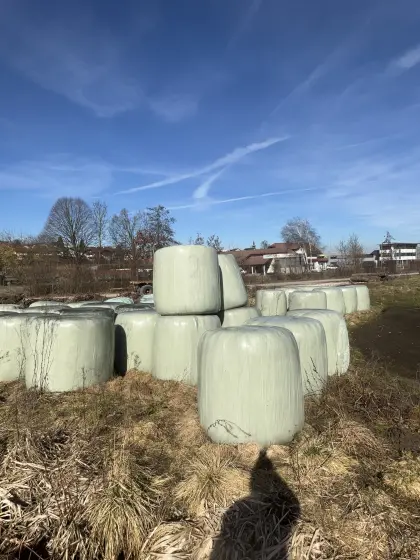Siloballen aus 2024