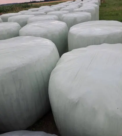 Silageballen, Siloballen, Grassilage