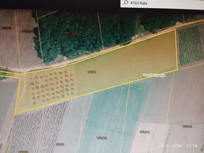 Poljoprivredno zemljište sa maslinama