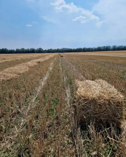 Kleine Stroh- und Heuballen
