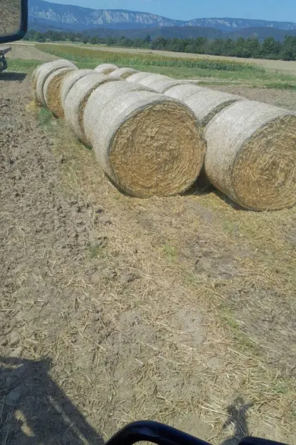 Siloballen, Strohballen, Roggenheu