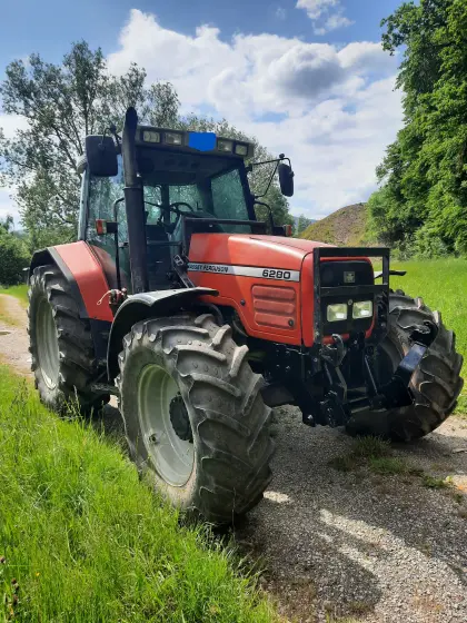 MF 6280 mit Frontlader