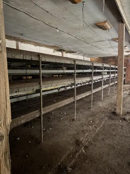 Gebrauchte Hühnerstallanlage zu verkaufen