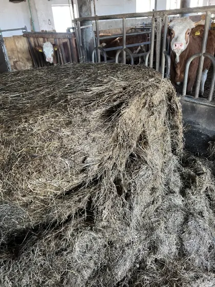 Siloballen abzugeben 1. und 2. Schnitt