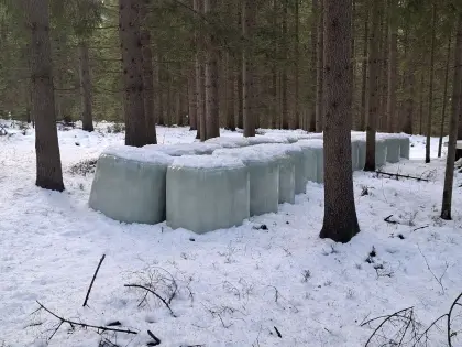 Siloballen 3. Schnitt 2025