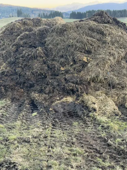 Wirtschaftsfänger Rinder Mist Bio