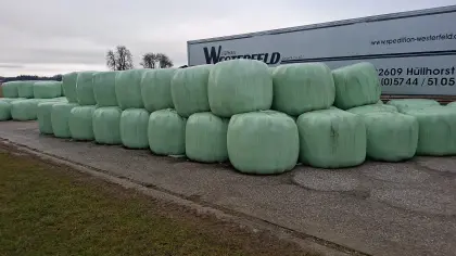Siloballen zu verkaufen