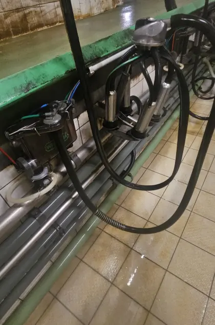 Westfalia FG Melkstand