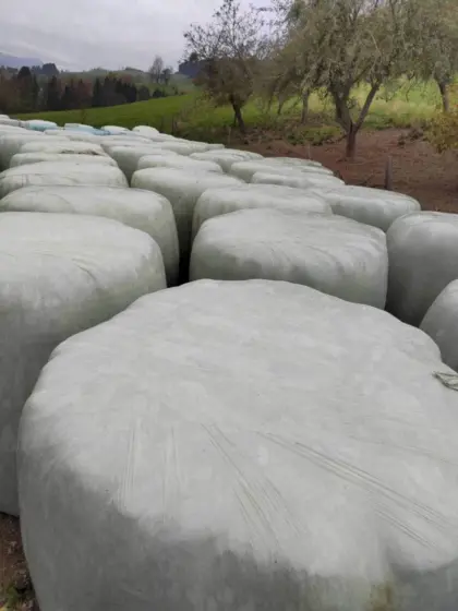 Bio Silage Ballen