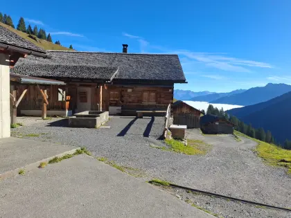 Alpe Latschätz im Montafon sucht Kühe und Rinder für Sommer