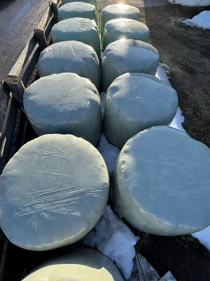 Verkaufe Siloballen 1. bis 3. Schnitt
