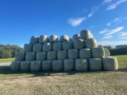 Silageballen, Siliermittel, Kurzschnitt, Mantelfolie, 130 cm