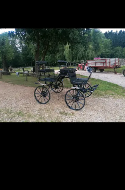 Kutsche Buggy