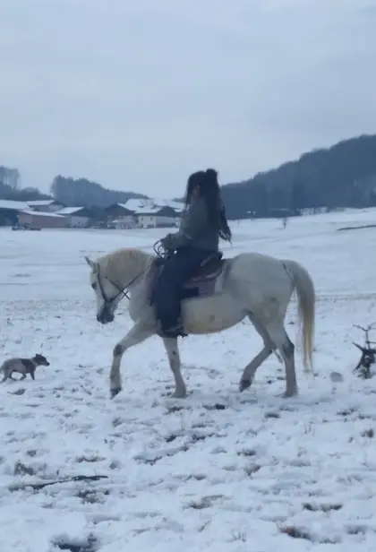 Conny Mara Mix Stute