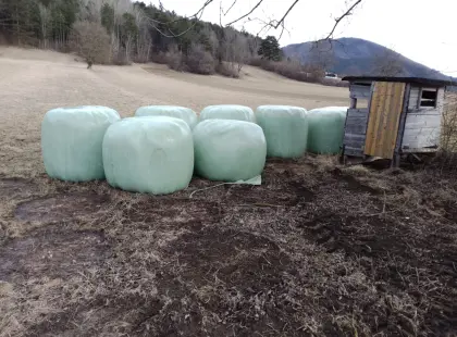 Grassilage zweiter Schnitt